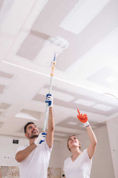 Touch-Up Painting in Denver, IA